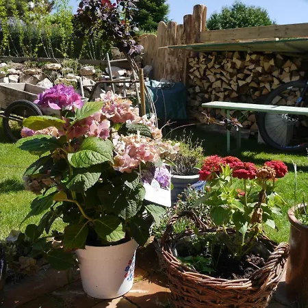 בית הארחה & Cafe Schlupfwinkel זאלם